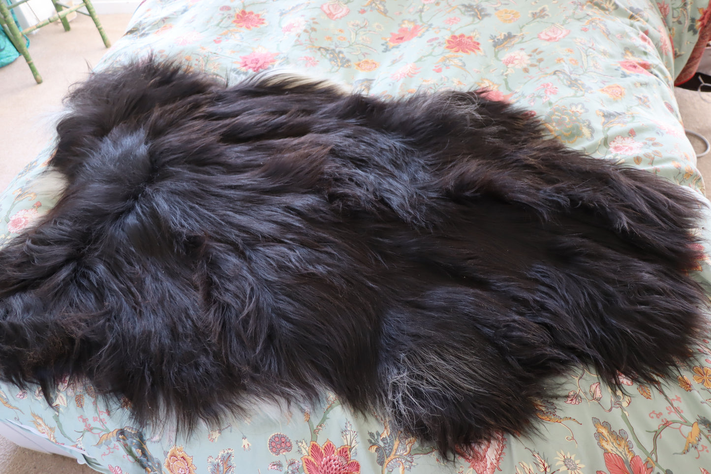 Icelandic long hair Sheepskin rugs