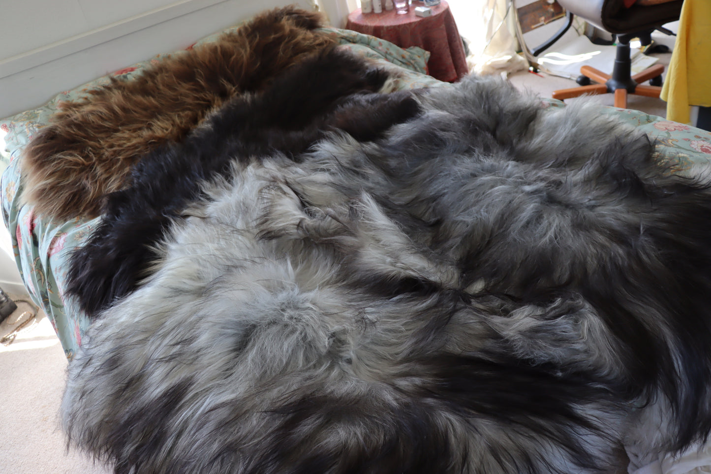 Icelandic long hair Sheepskin rugs