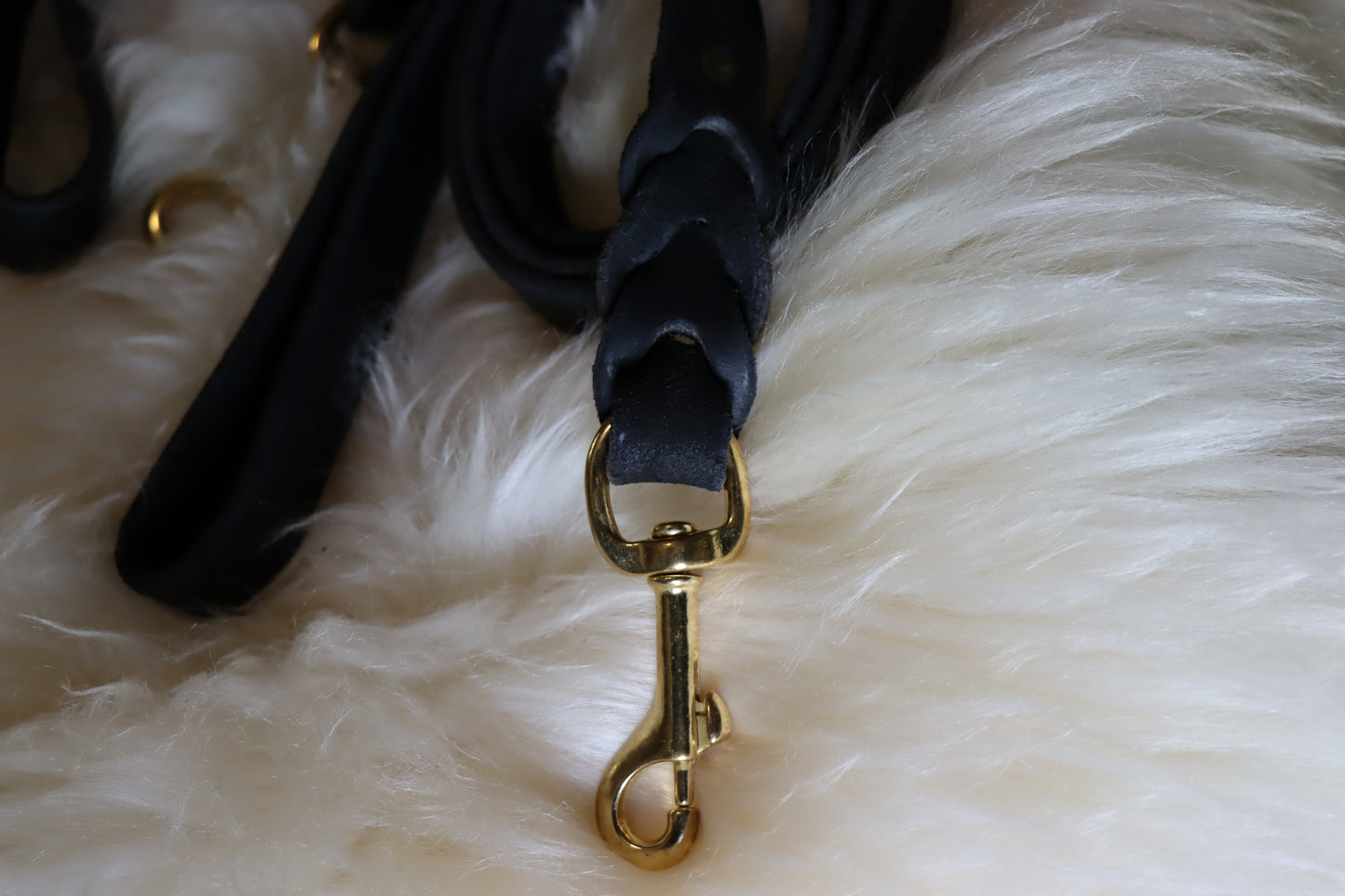 Braided Leather Dog Lead