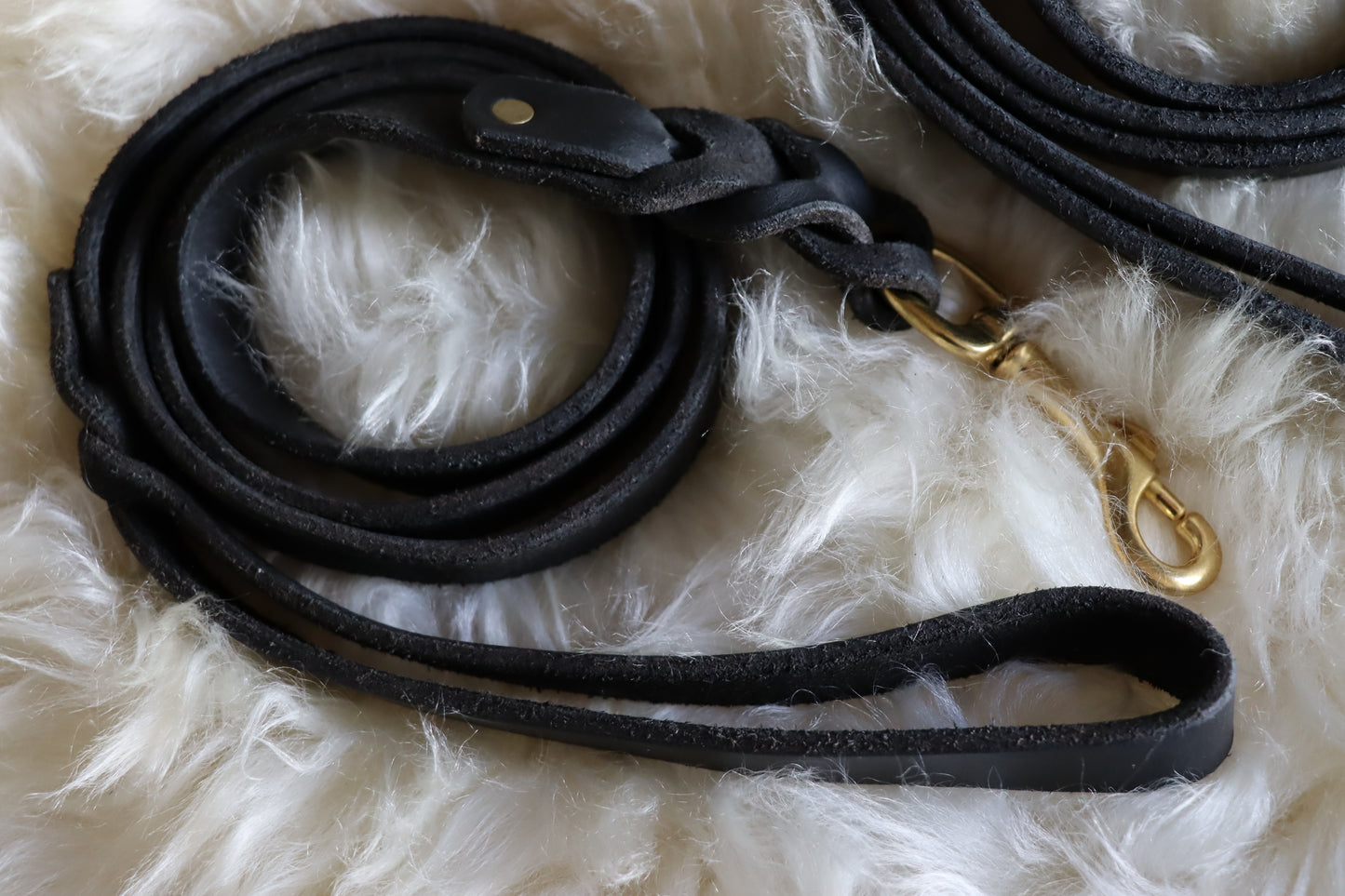 Braided Leather Dog Lead