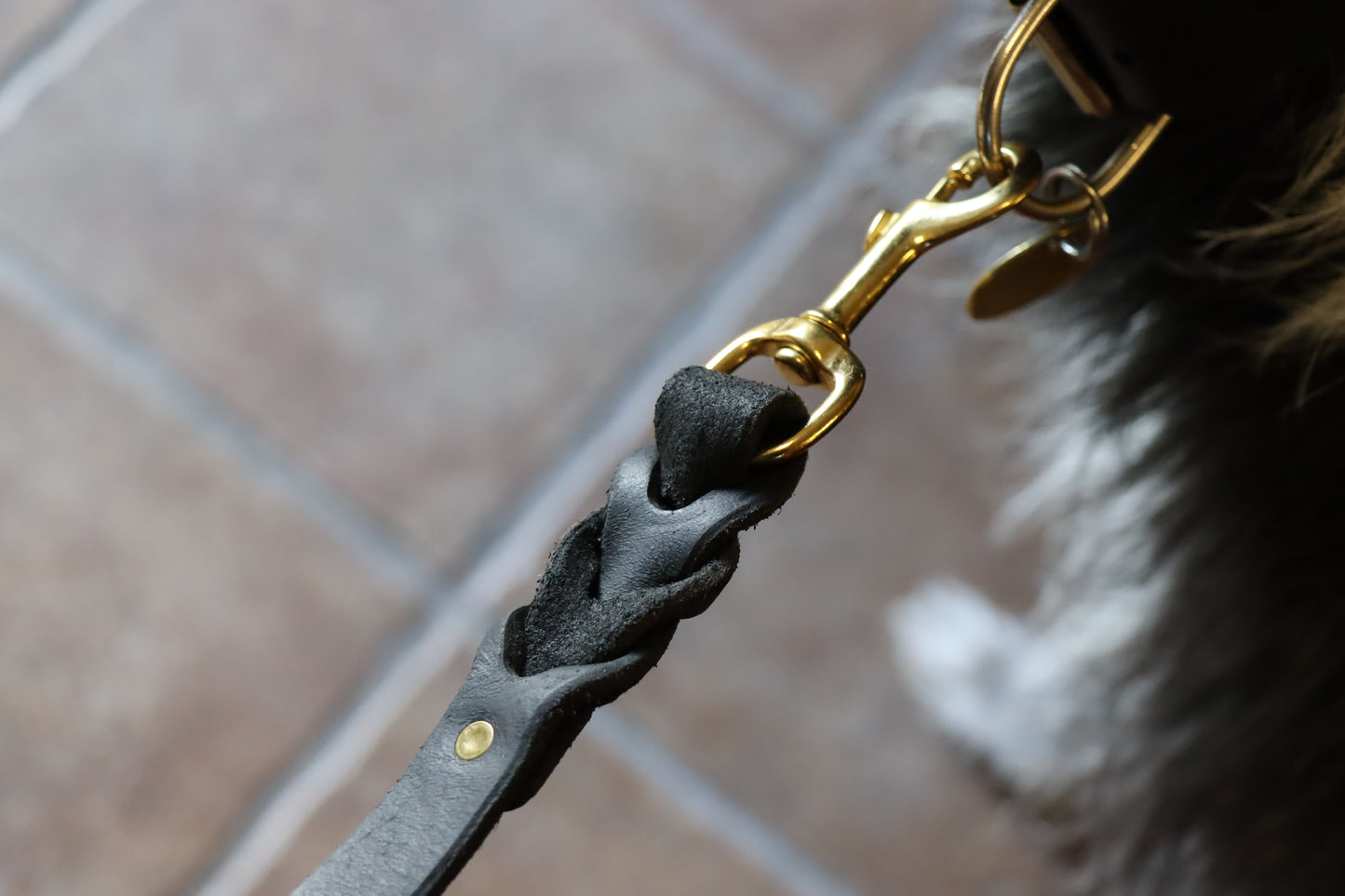 Braided Leather Dog Lead